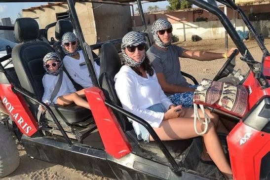 Family Buggy Safari