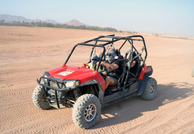 Family Buggy Safari