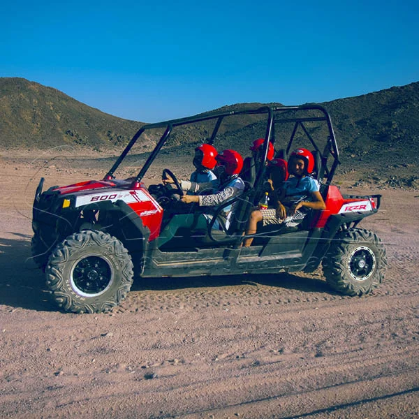 Family Buggy Safari